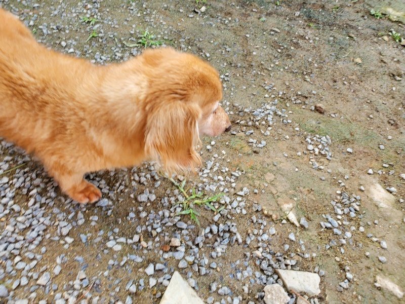 f:id:roukenhome-ann:20191017114620j:plain
