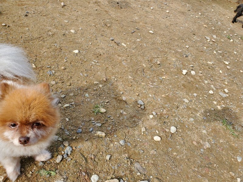 f:id:roukenhome-ann:20191017120623j:plain