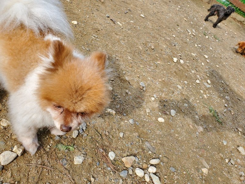 f:id:roukenhome-ann:20191017120812j:plain