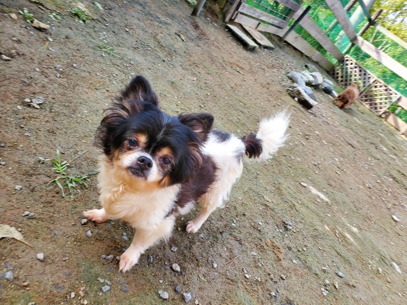 f:id:roukenhome-ann:20191017121040j:plain