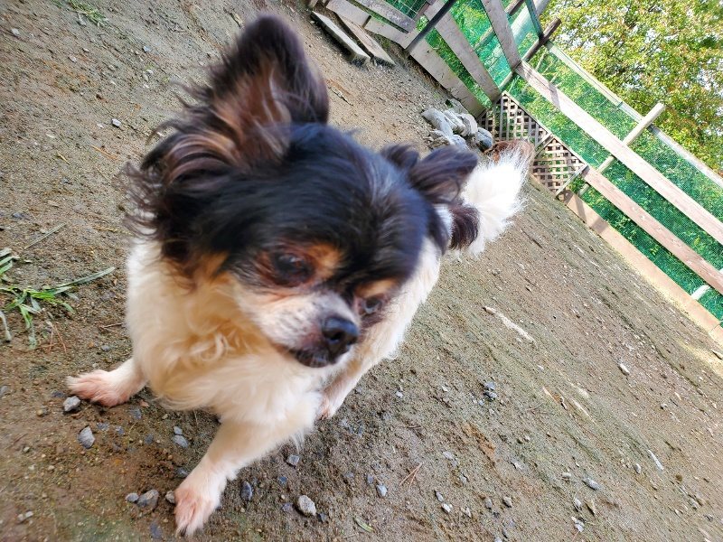 f:id:roukenhome-ann:20191017121116j:plain