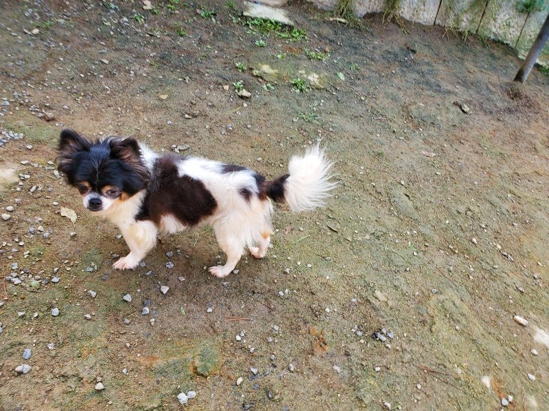 f:id:roukenhome-ann:20191017121220j:plain