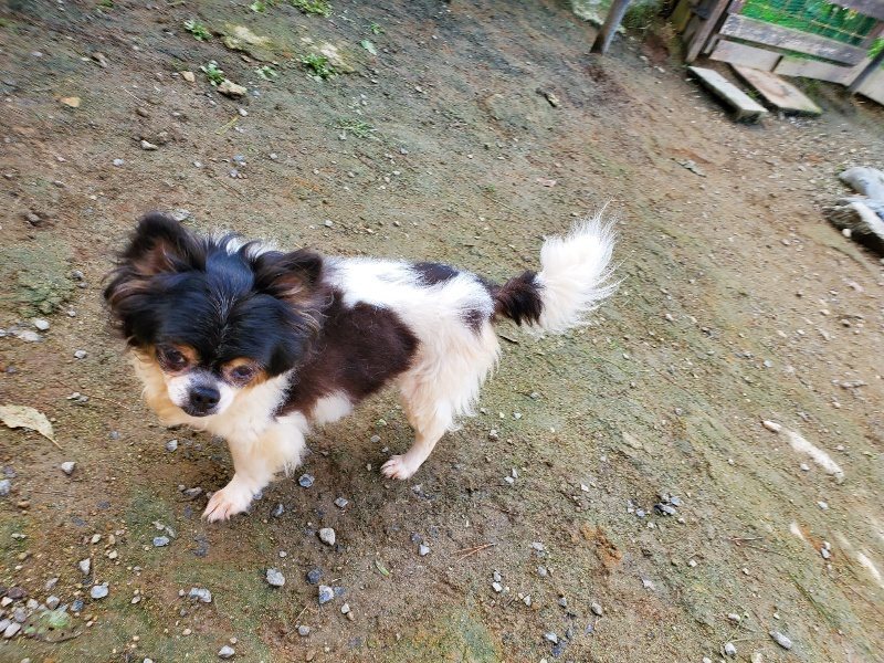 f:id:roukenhome-ann:20191017121417j:plain