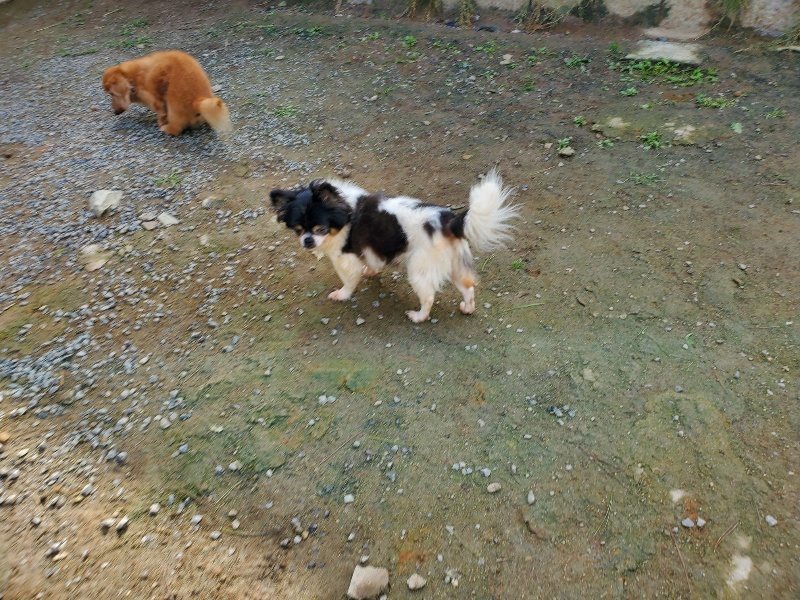 f:id:roukenhome-ann:20191017121541j:plain