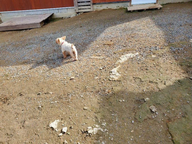 f:id:roukenhome-ann:20191017121808j:plain