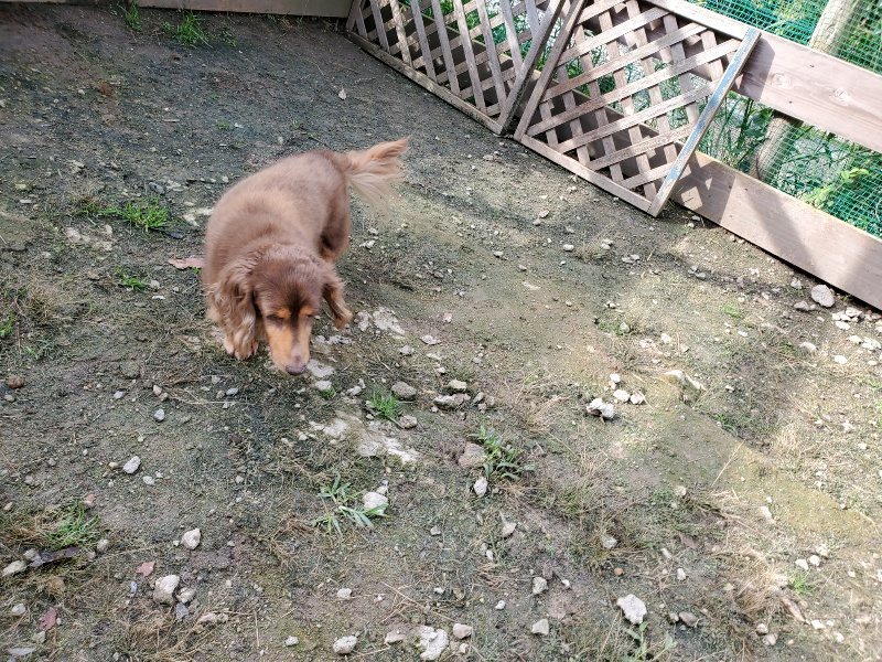 f:id:roukenhome-ann:20191017122031j:plain
