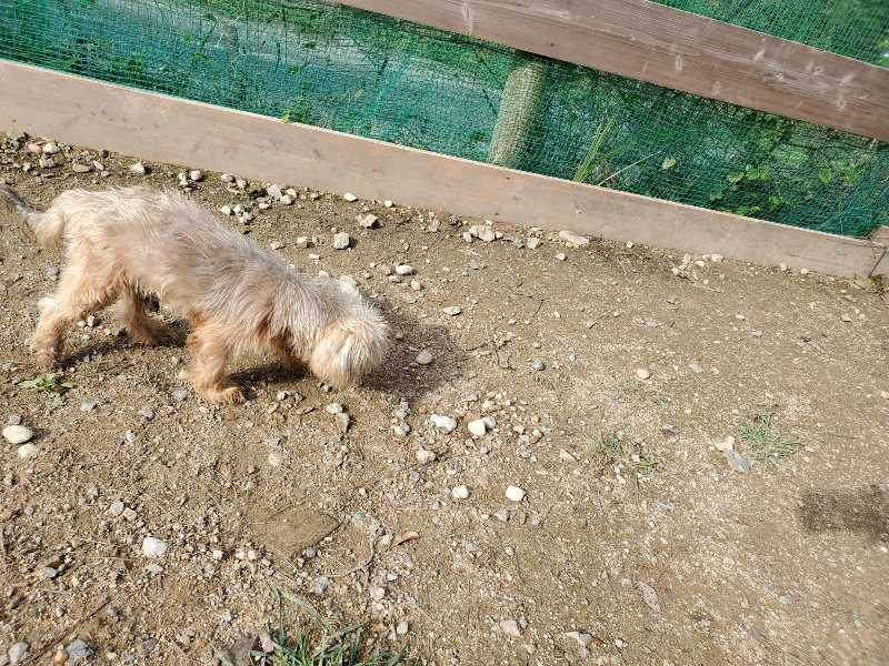 f:id:roukenhome-ann:20191017122944j:plain