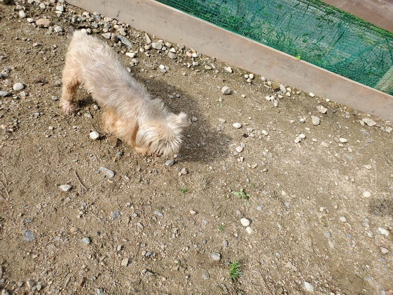 f:id:roukenhome-ann:20191017123025j:plain