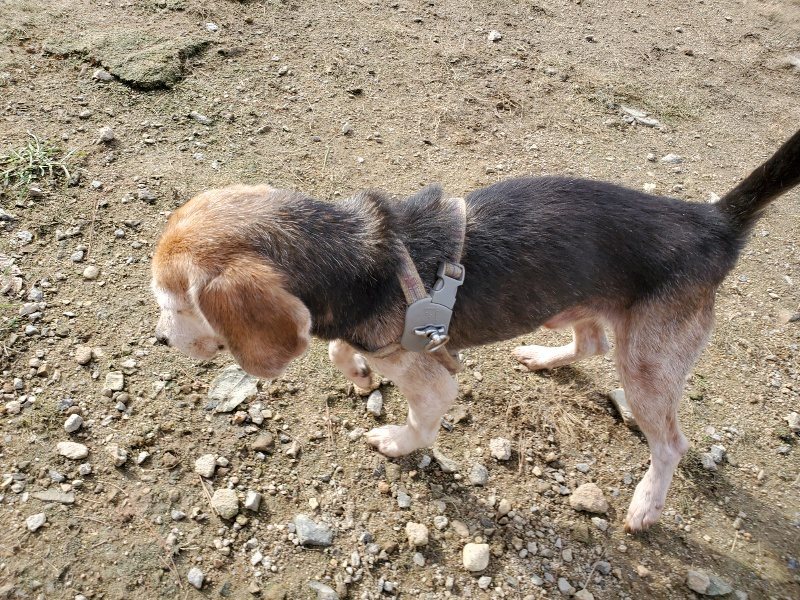 f:id:roukenhome-ann:20191017123239j:plain