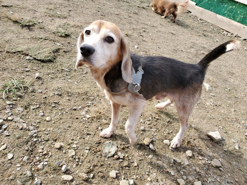 f:id:roukenhome-ann:20191017123307j:plain