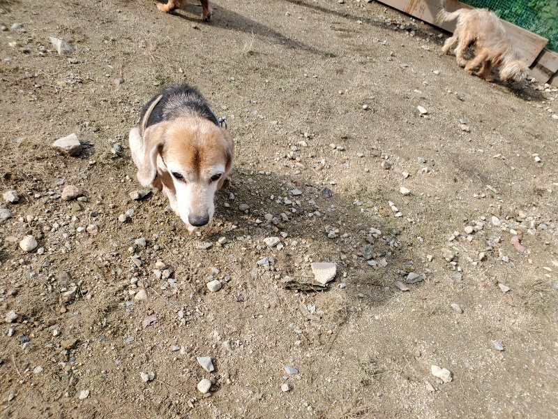 f:id:roukenhome-ann:20191017123327j:plain
