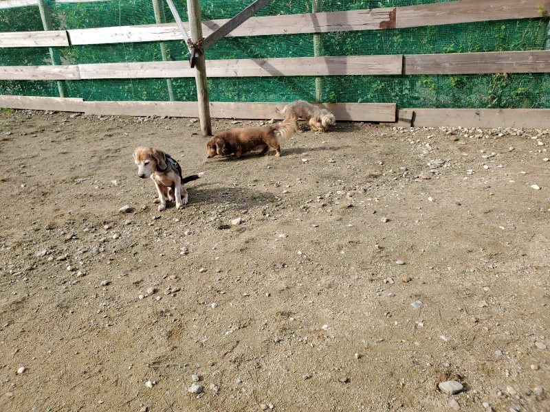 f:id:roukenhome-ann:20191017123547j:plain