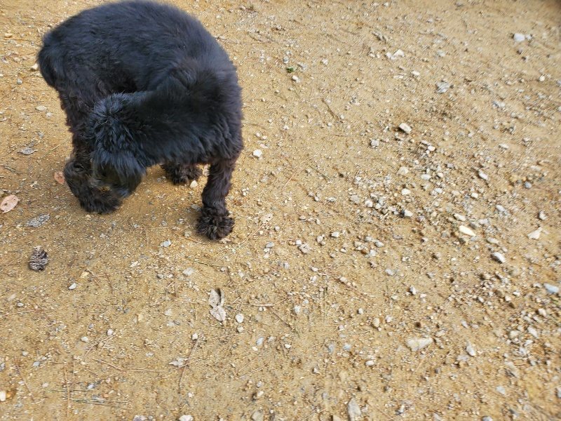 f:id:roukenhome-ann:20191017132507j:plain