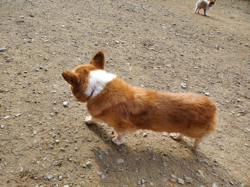 f:id:roukenhome-ann:20191017133037j:plain