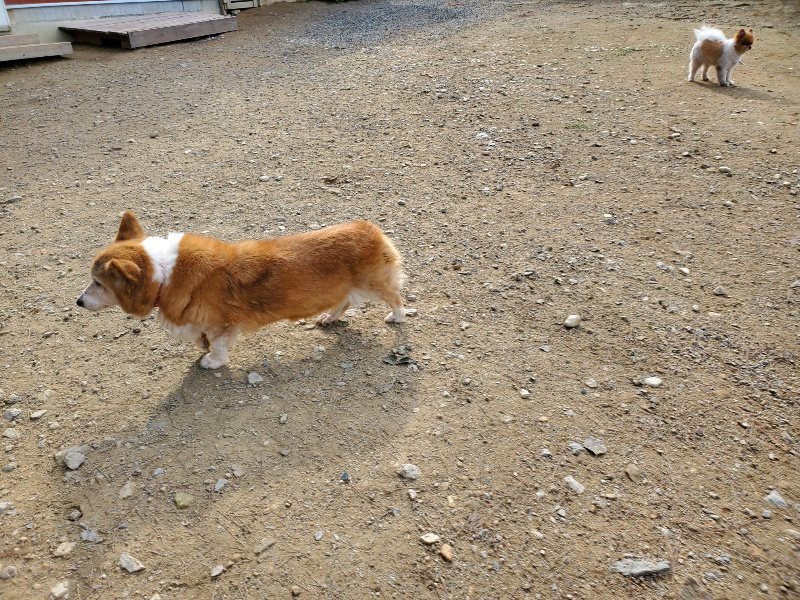 f:id:roukenhome-ann:20191017133204j:plain