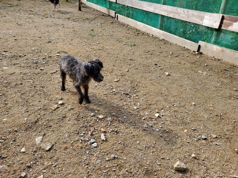 f:id:roukenhome-ann:20191017133412j:plain