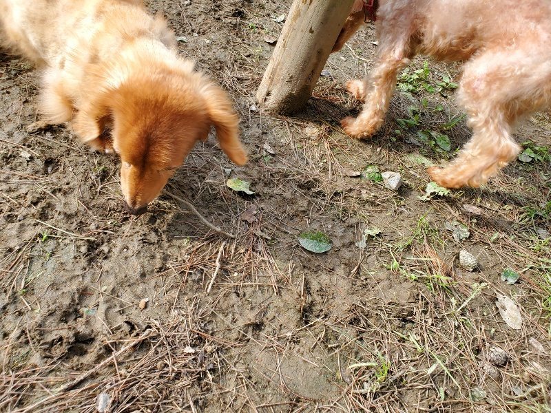 f:id:roukenhome-ann:20191017133500j:plain