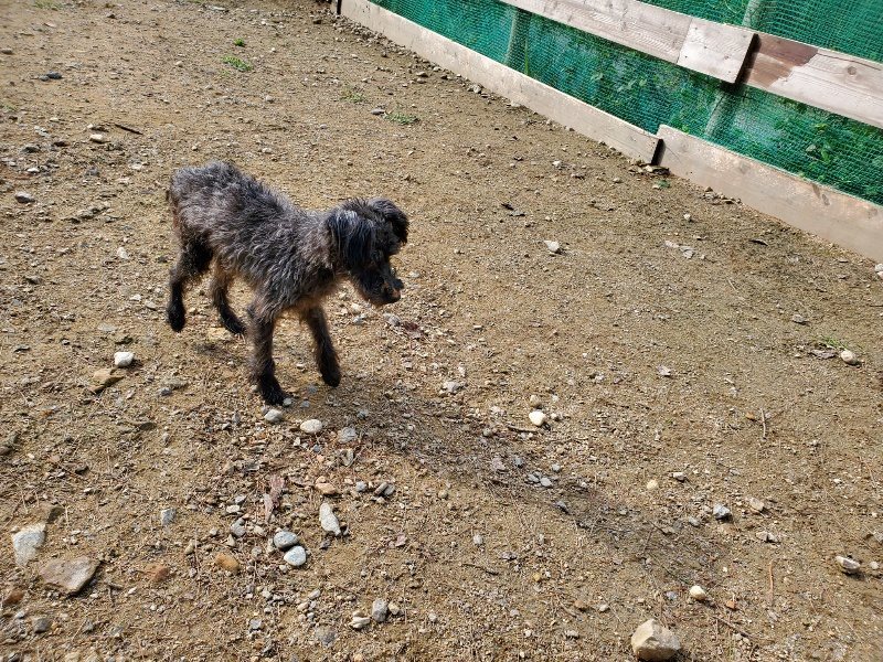 f:id:roukenhome-ann:20191017133641j:plain