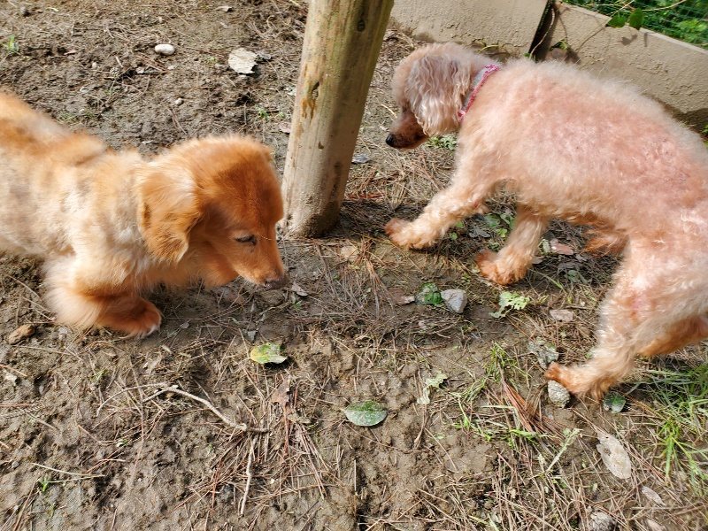 f:id:roukenhome-ann:20191017133715j:plain
