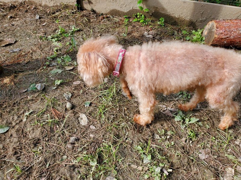 f:id:roukenhome-ann:20191017133721j:plain