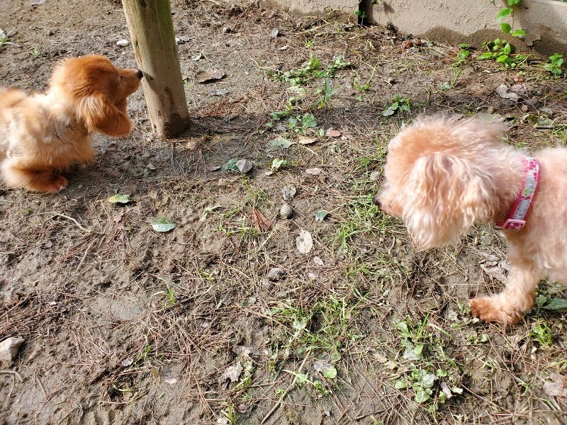 f:id:roukenhome-ann:20191017133737j:plain