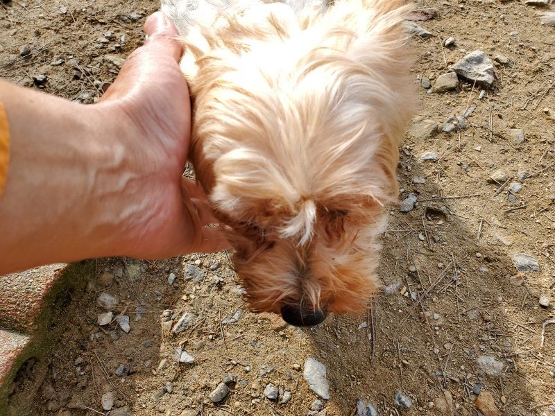 f:id:roukenhome-ann:20191017153249j:plain