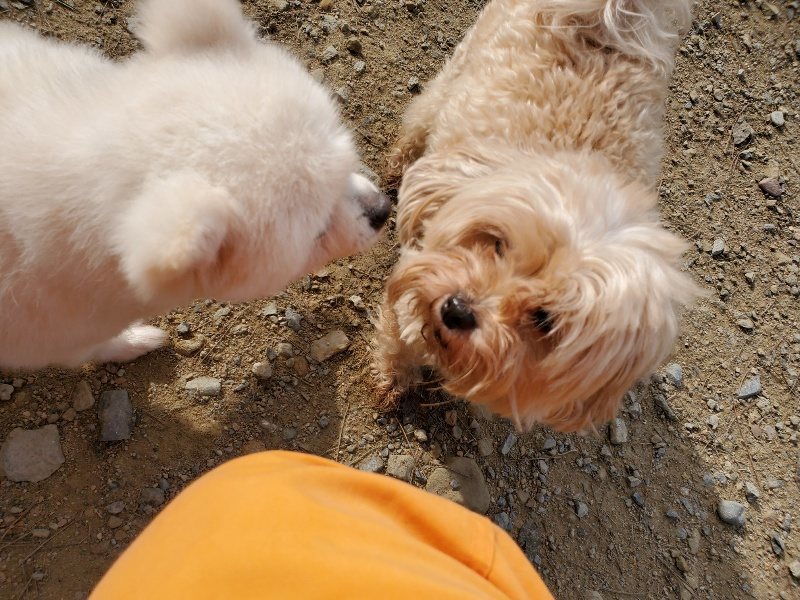 f:id:roukenhome-ann:20191017153316j:plain