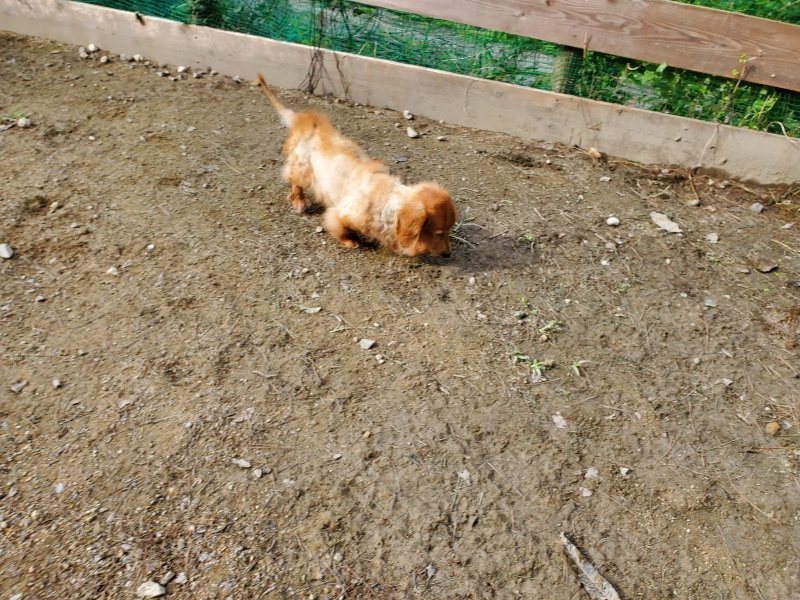 f:id:roukenhome-ann:20191017153351j:plain