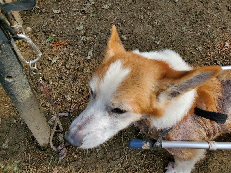 f:id:roukenhome-ann:20191017153500j:plain