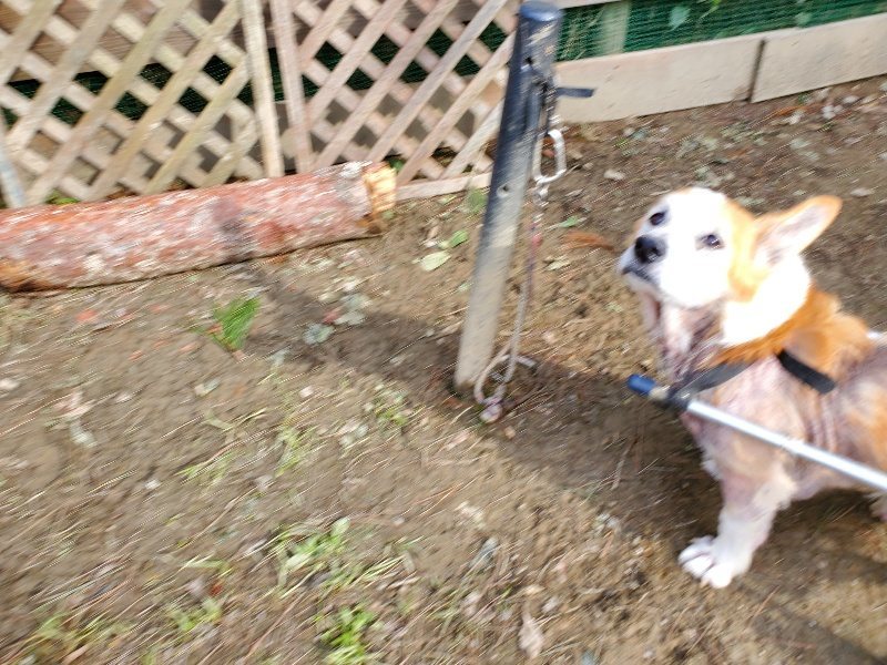 f:id:roukenhome-ann:20191017153518j:plain