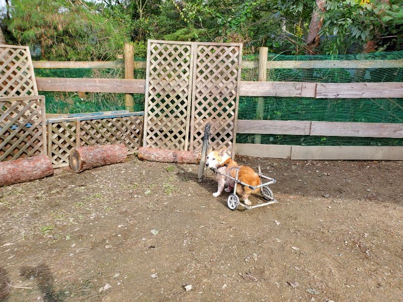f:id:roukenhome-ann:20191017153536j:plain
