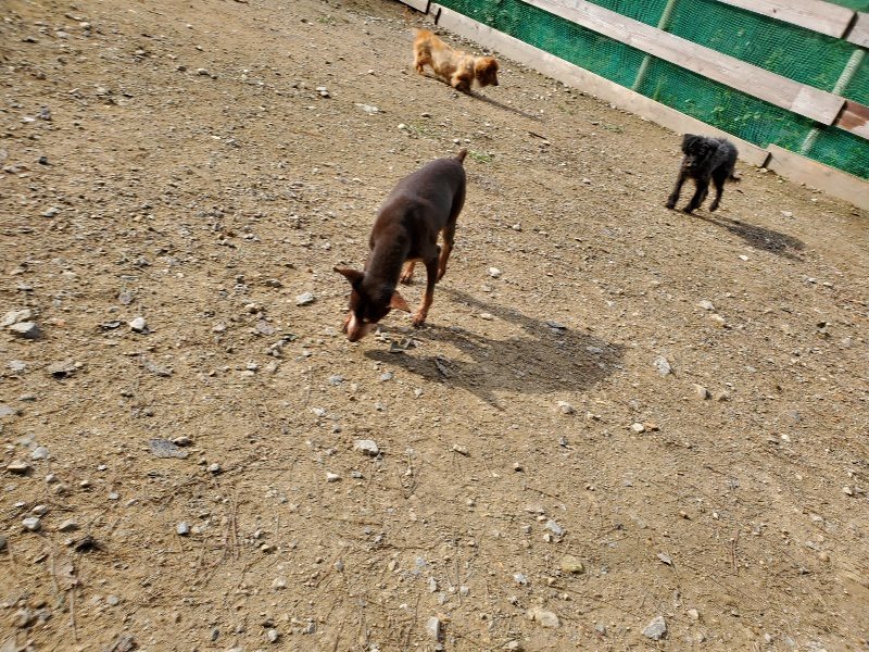 f:id:roukenhome-ann:20191017153648j:plain