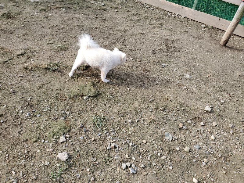 f:id:roukenhome-ann:20191017154013j:plain