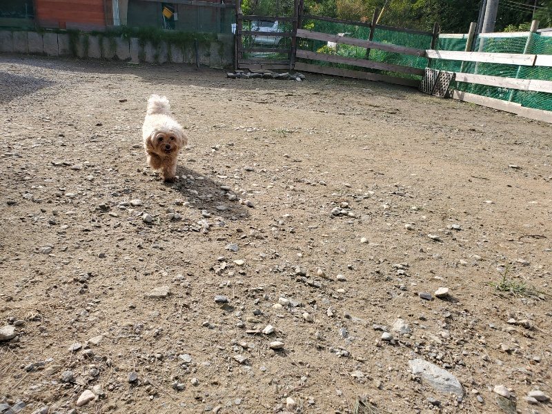 f:id:roukenhome-ann:20191017154039j:plain