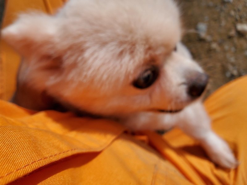 f:id:roukenhome-ann:20191017154107j:plain