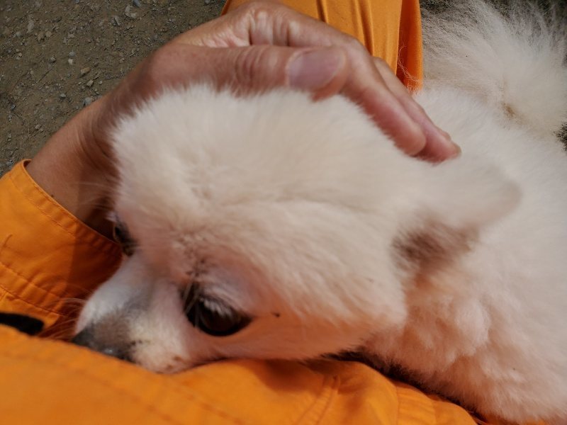 f:id:roukenhome-ann:20191017154122j:plain