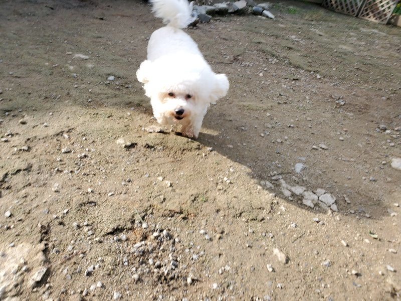 f:id:roukenhome-ann:20191017154140j:plain
