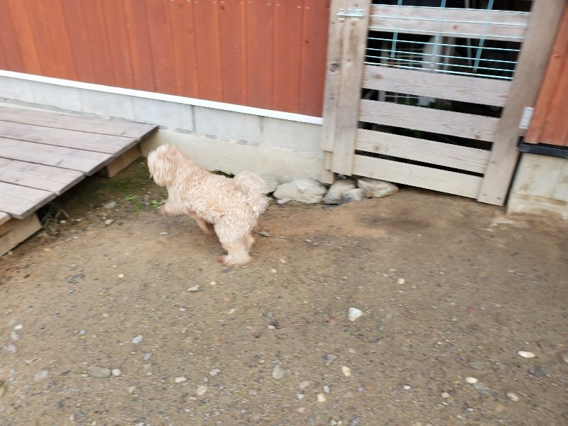 f:id:roukenhome-ann:20191017154217j:plain
