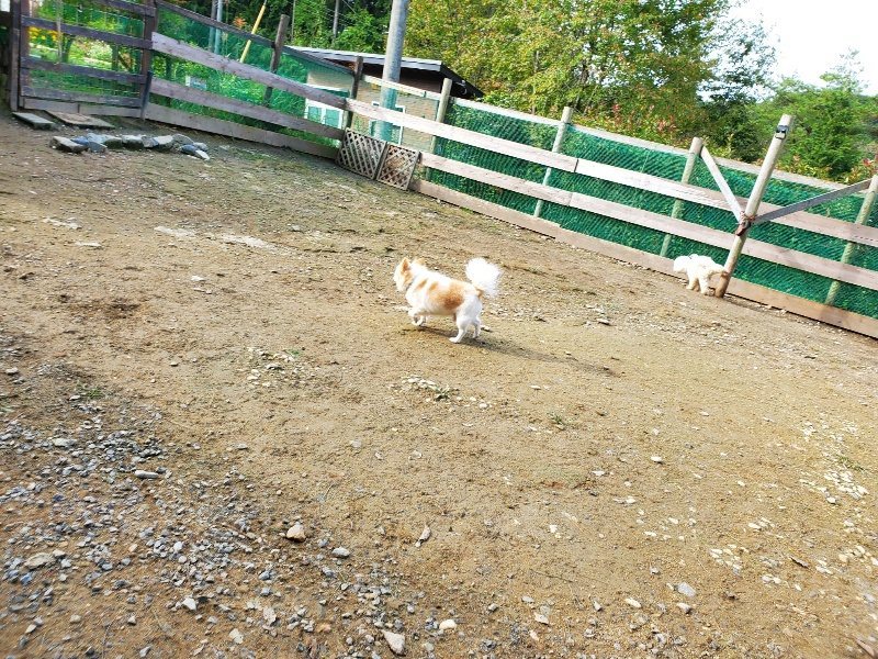 f:id:roukenhome-ann:20191017154301j:plain