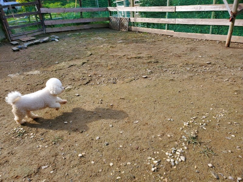 f:id:roukenhome-ann:20191017154326j:plain
