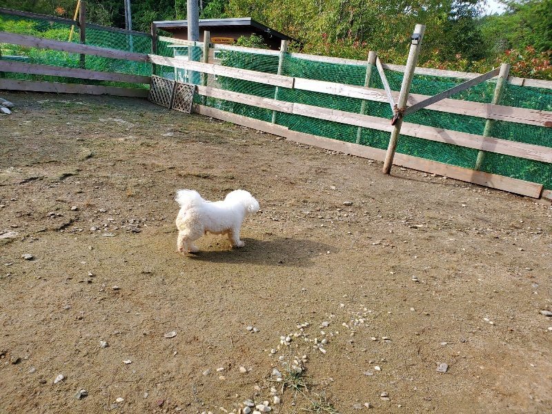 f:id:roukenhome-ann:20191017154335j:plain