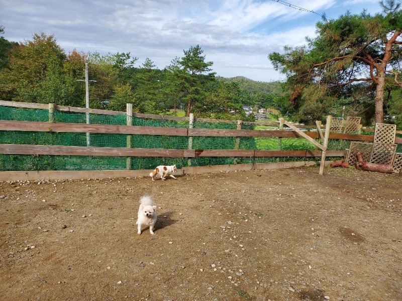 f:id:roukenhome-ann:20191017154343j:plain