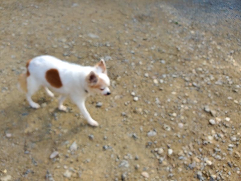 f:id:roukenhome-ann:20191017154348j:plain