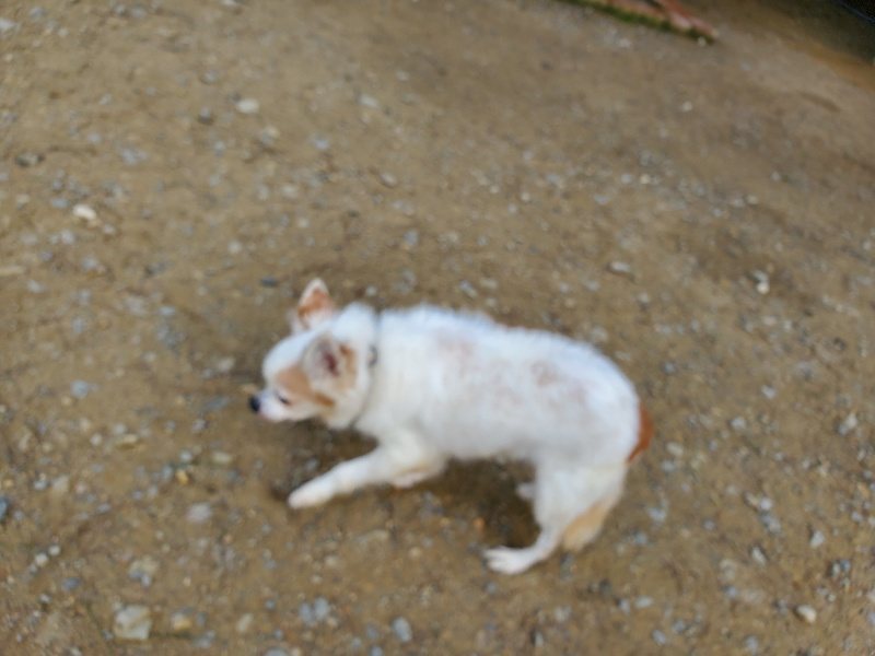 f:id:roukenhome-ann:20191017154353j:plain