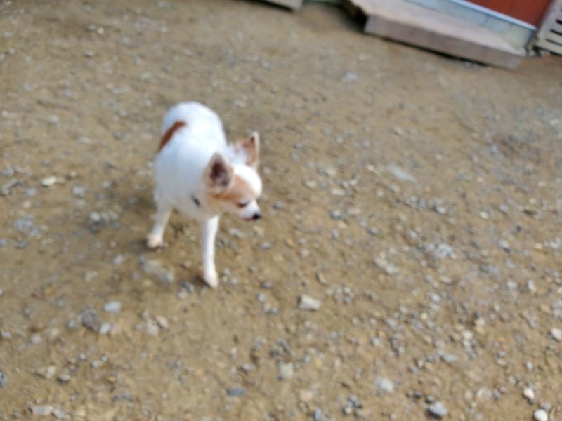 f:id:roukenhome-ann:20191017154359j:plain