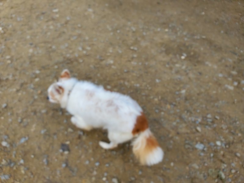 f:id:roukenhome-ann:20191017154404j:plain
