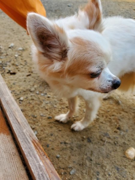 f:id:roukenhome-ann:20191017154410j:plain