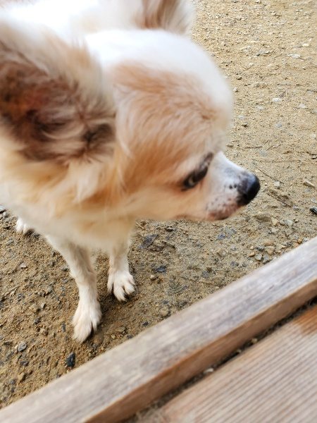 f:id:roukenhome-ann:20191017154415j:plain