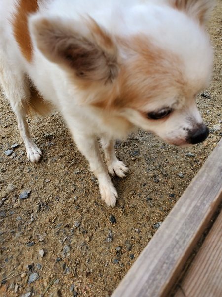 f:id:roukenhome-ann:20191017154436j:plain