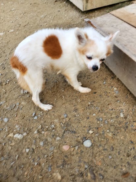 f:id:roukenhome-ann:20191017154447j:plain